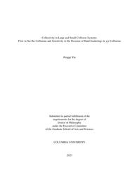 thumnail for Yin_columbia_0054D_18130.pdf