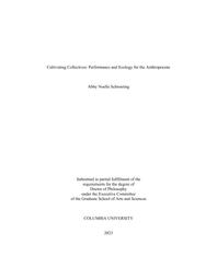 thumnail for Schroering_columbia_0054D_17761.pdf