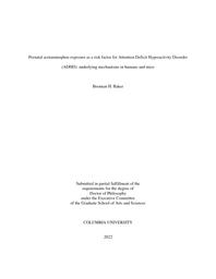 thumnail for Baker_columbia_0054D_17408.pdf