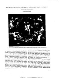thumnail for dept_freed_origins_and_development.pdf