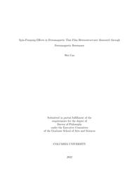 thumnail for Cao_columbia_0054D_17393.pdf