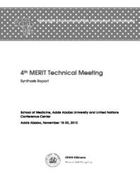 thumnail for 4th_merit_technical_meeting.pdf