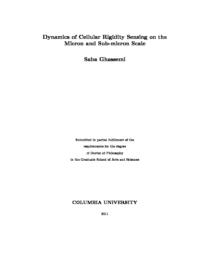 thumnail for Ghassemi_columbia_0054D_10063.pdf