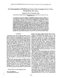 thumnail for JB095iB11p17533.pdf