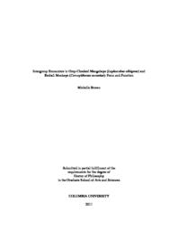thumnail for Brown_columbia_0054D_10382.pdf