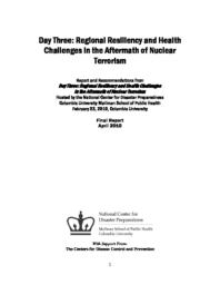 thumnail for day_three_final_report.pdf