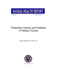 thumnail for dimaggio_nassau.pdf