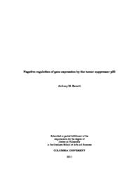 thumnail for Barsotti_columbia_0054D_10305.pdf