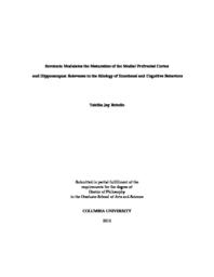 thumnail for Rebello_columbia_0054D_10897.pdf