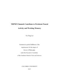 thumnail for Lei_columbia_0054D_11516.pdf