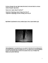 thumnail for Thesis_Liew.pdf