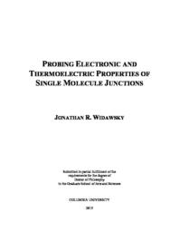 thumnail for Widawsky_columbia_0054D_11579.pdf