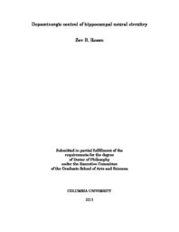 thumnail for Rosen_columbia_0054D_11599.pdf