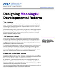 thumnail for designing-meaningful-developmental-reform-research-overview.pdf