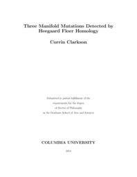 thumnail for Clarkson_columbia_0054D_11918.pdf