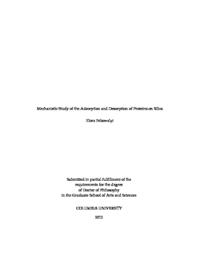thumnail for Felsovalyi_columbia_0054D_10943.pdf