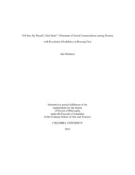 thumnail for Stefancic_columbia_0054D_12393.pdf