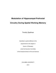 thumnail for Spellman_columbia_0054D_12413.pdf