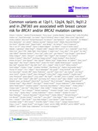 thumnail for bcr3121.pdf