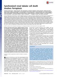 thumnail for PNAS-2014-Linkermann-16836-41.pdf
