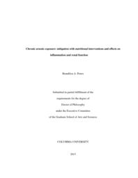 thumnail for Peters_columbia_0054D_12805.pdf