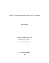 thumnail for HONG_columbia_0054D_11731.pdf