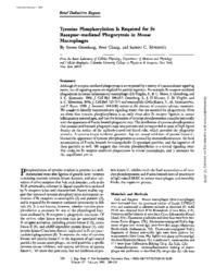 thumnail for J_Exp_Med-1993-Greenberg-529-34.pdf