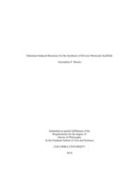 thumnail for Brucks_columbia_0054D_11844.pdf