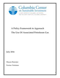 thumnail for A_policy_framework_for_the_use_of_APG_-_July_2016-_CCSI.pdf