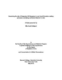 thumnail for Schipani__Elke_SeniorThesis.pdf