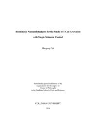 thumnail for Cai_columbia_0054D_13597.pdf