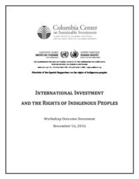 thumnail for Workshop-on-International-Investment-and-the-Rights-of-Indigenous-Peoples-Outcome-Document-November-2016.pdf