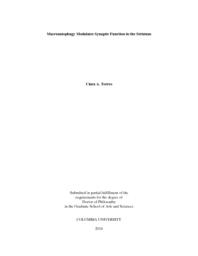 thumnail for Torres_columbia_0054D_11830.pdf