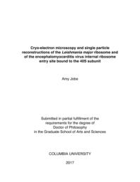 thumnail for Jobe_columbia_0054D_13761.pdf