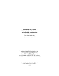 thumnail for Ng_columbia_0054D_13476.pdf