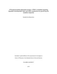 thumnail for Matsushima_columbia_0054D_13478.pdf