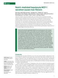 thumnail for Kang et al. - 2023 - Notch-mediated hepatocyte MCP-1 secretion causes l.pdf