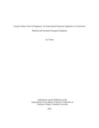 thumnail for Torres_tc.columbia_0055E_11434.pdf