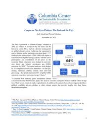 thumnail for Corporate Net-Zero Pledges (2).pdf