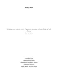 thumnail for Thesis Final Alex Levine.docx