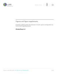 thumnail for elife-33572-figures-v2.pdf