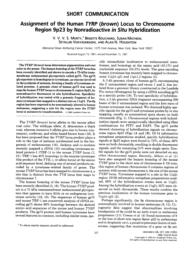 thumnail for Murty VV et al Genomics 1992.pdf