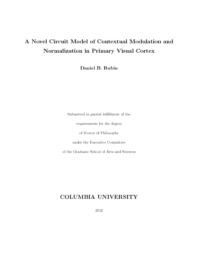 thumnail for Rubin_columbia_0054D_10458.pdf