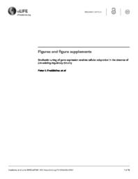 thumnail for elife-31867-figures-v2.pdf
