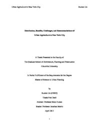 thumnail for LinRuoran_GSAPPUP_2018_Thesis.pdf