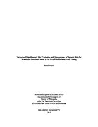 thumnail for Popkin_columbia_0054D_15244.pdf