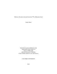 thumnail for Tiberi_columbia_0054D_17947.pdf