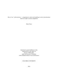 thumnail for Turcu_columbia_0054D_18721.pdf