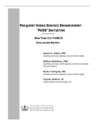 thumnail for FUSE Evalution Report.pdf