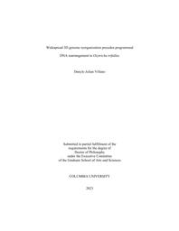 thumnail for Villano_columbia_0054D_18122.pdf
